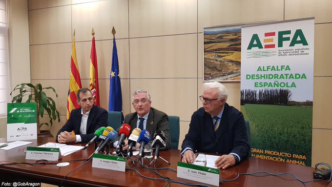 You are currently viewing España es una potencia a nivel mundial en la producción y exportación de alfalfa