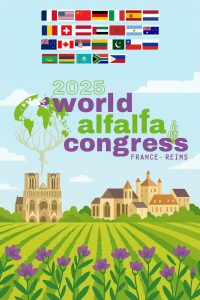 La alfalfa, el uso sostenible y la producción ganadera