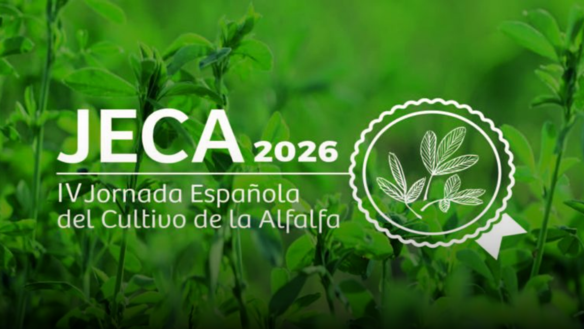 En este momento estás viendo La 4ª Jornada Española del Cultivo de la Alfalfa analizará en Huesca los desafíos que afronta el sector